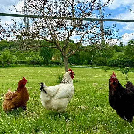 Maison Albertine Nyaraló *